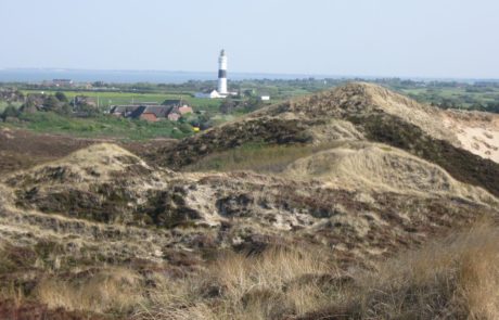 leuchtturm-kampen-sylt Leuchtturm Kampen auf Sylt